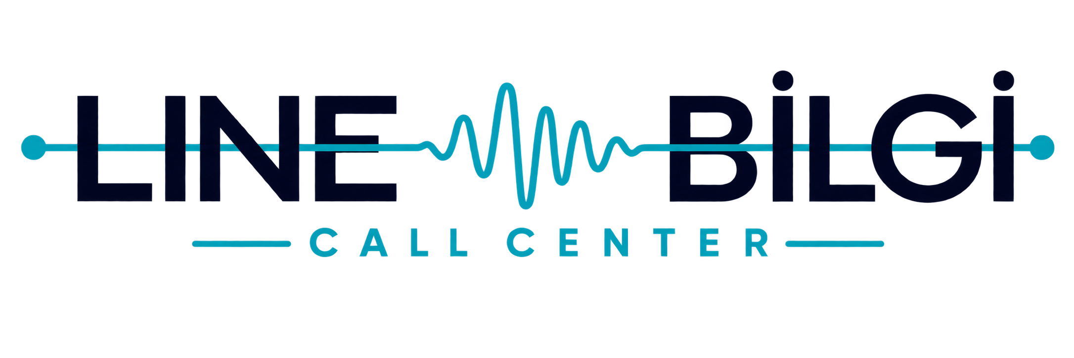 LineBilgi Logo